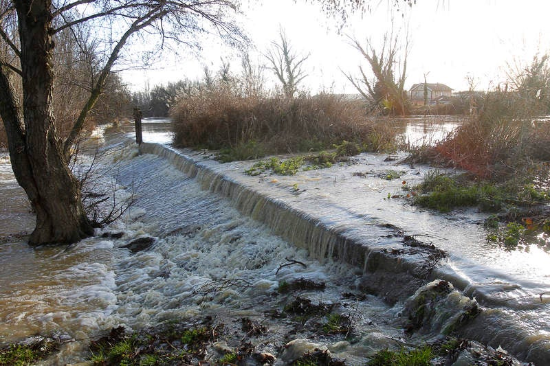 Crecida del río Carrión a su paso por Palencia