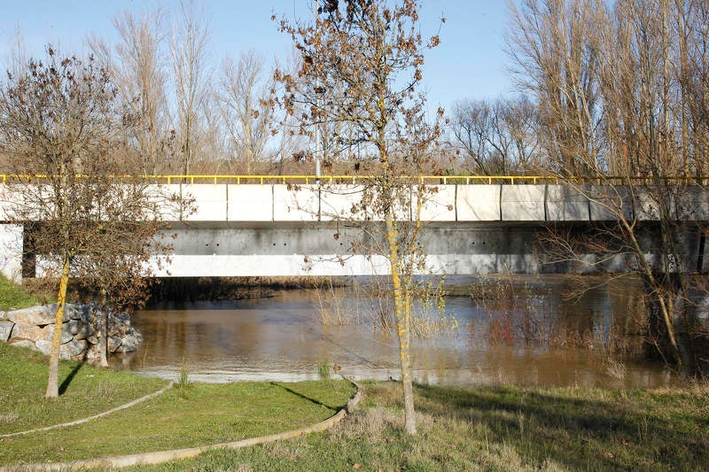 Crecida del río Carrión a su paso por Palencia
