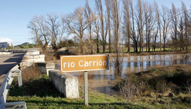 Crecida del río Carrión a su paso por Palencia
