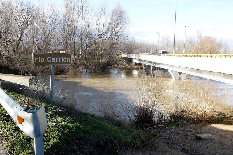 Crecida del río Carrión a su paso por Palencia