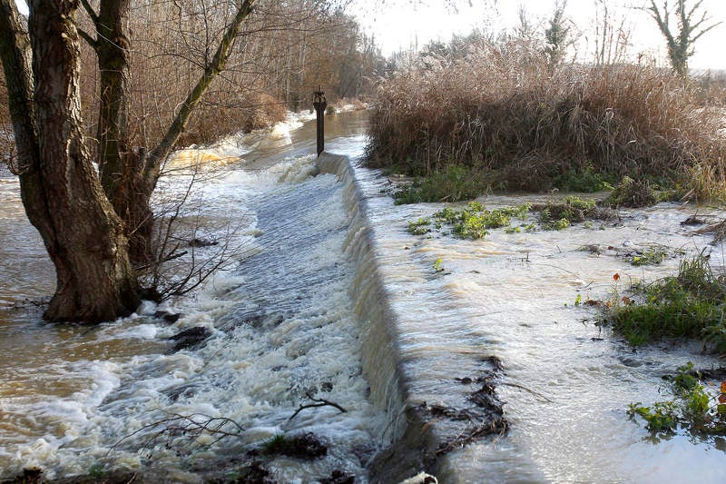 Crecida del río Carrión a su paso por Palencia