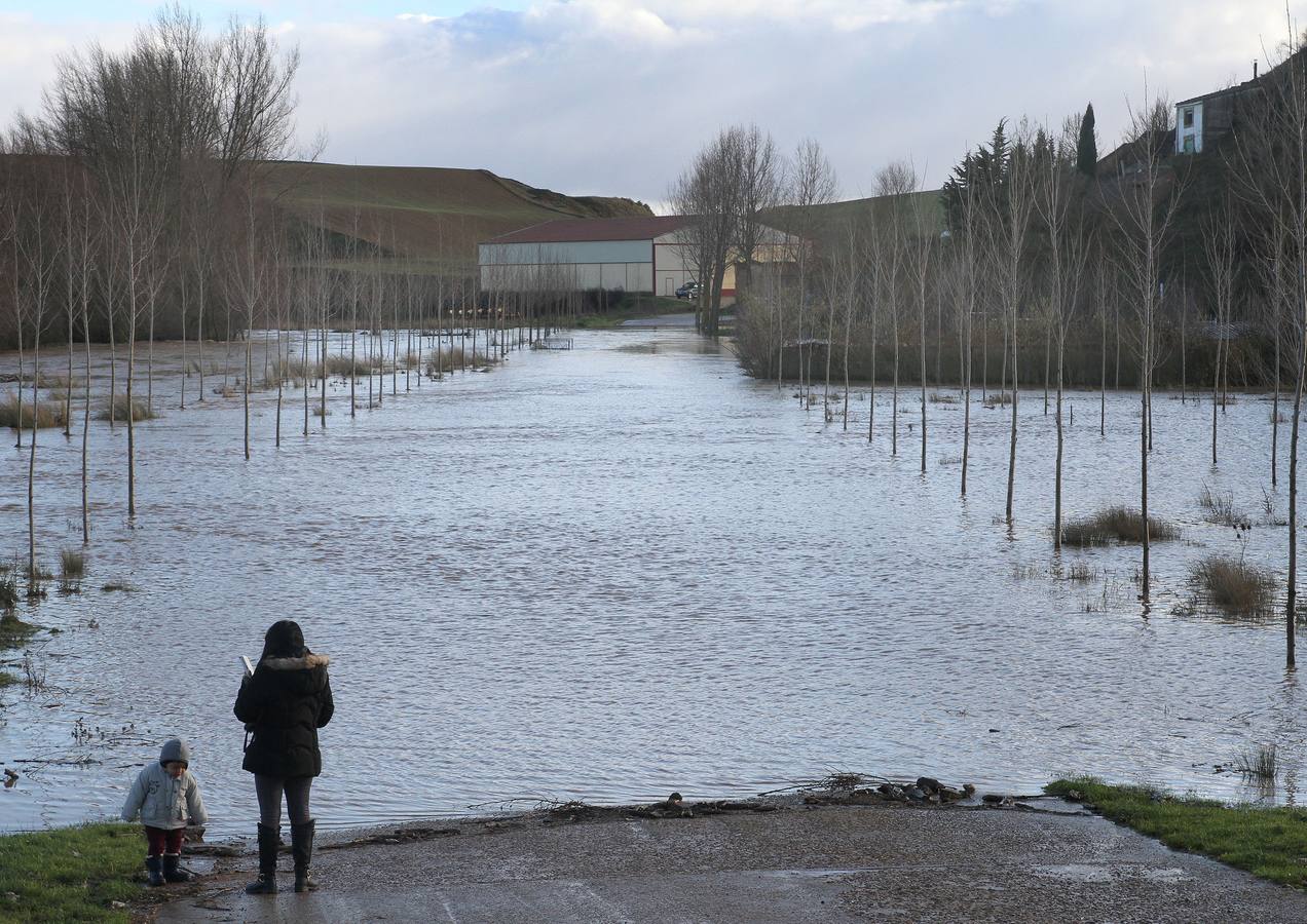 El río Valdavia se desborda en Abia de la Torres (Palencia).