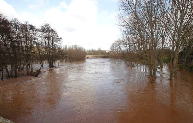 El río Arlanza a su paso por Quintana del Puente.