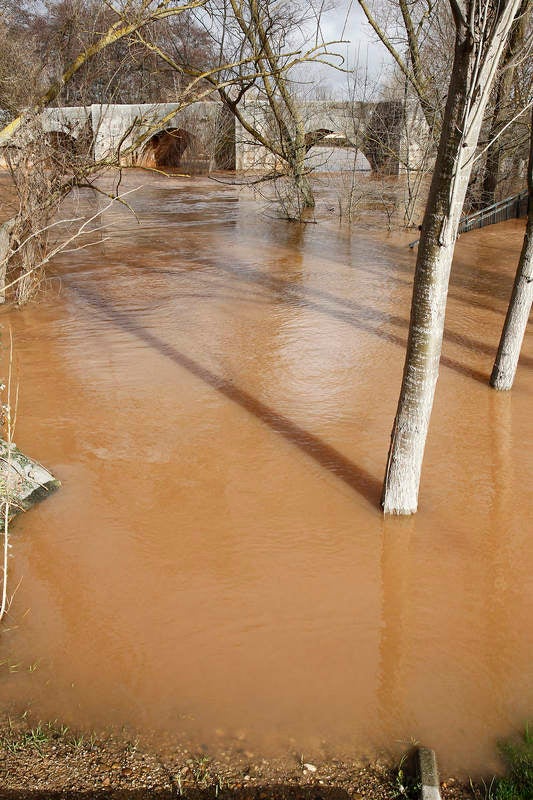 El río Arlanza a su paso por Quintana del Puente.