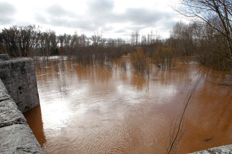 El río Arlanza a su paso por Quintana del Puente.