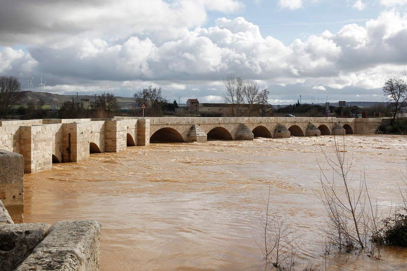 El río Pisuerga a su paso por Torquemada.