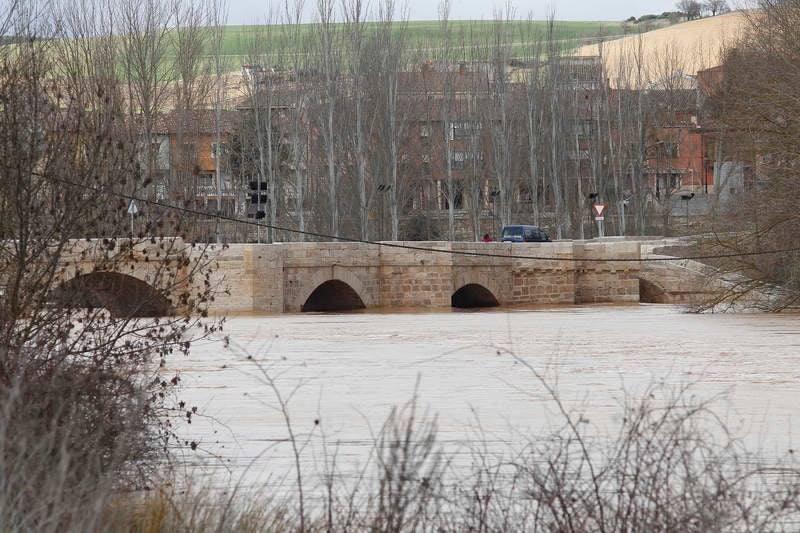 El río Pisuerga a su paso por Torquemada.
