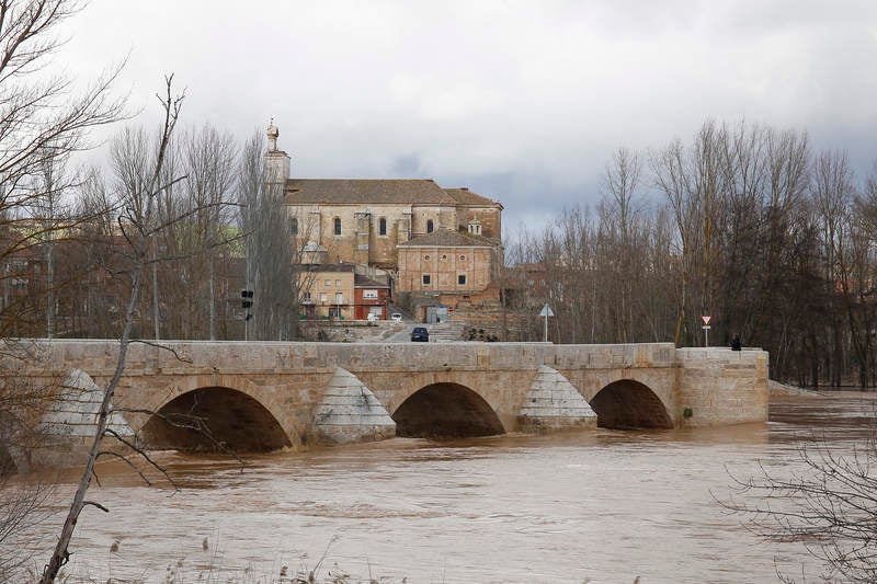 El río Pisuerga a su paso por Torquemada.