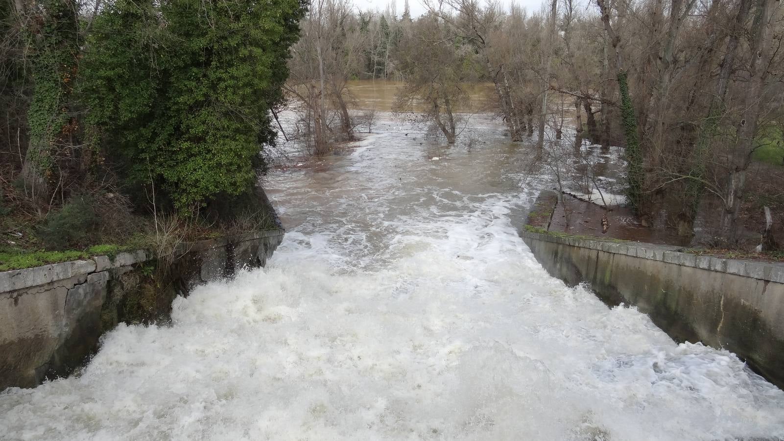 El caudal del Esgueva sigue creciendo a su paso por Valladolid