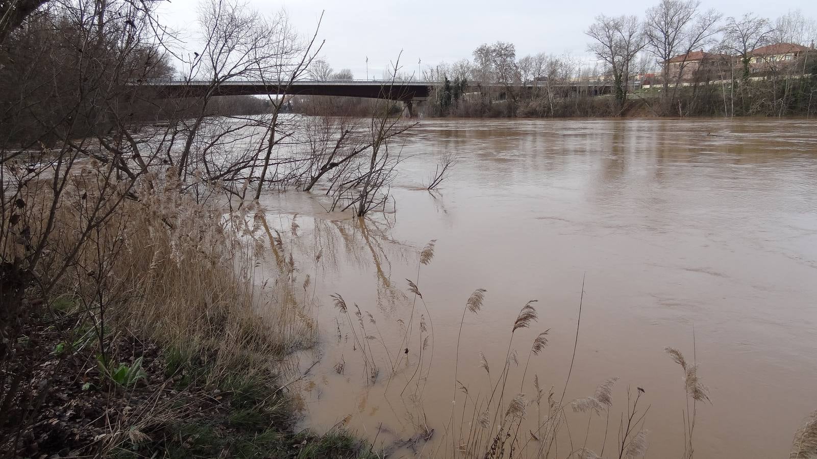 El caudal del Esgueva sigue creciendo a su paso por Valladolid