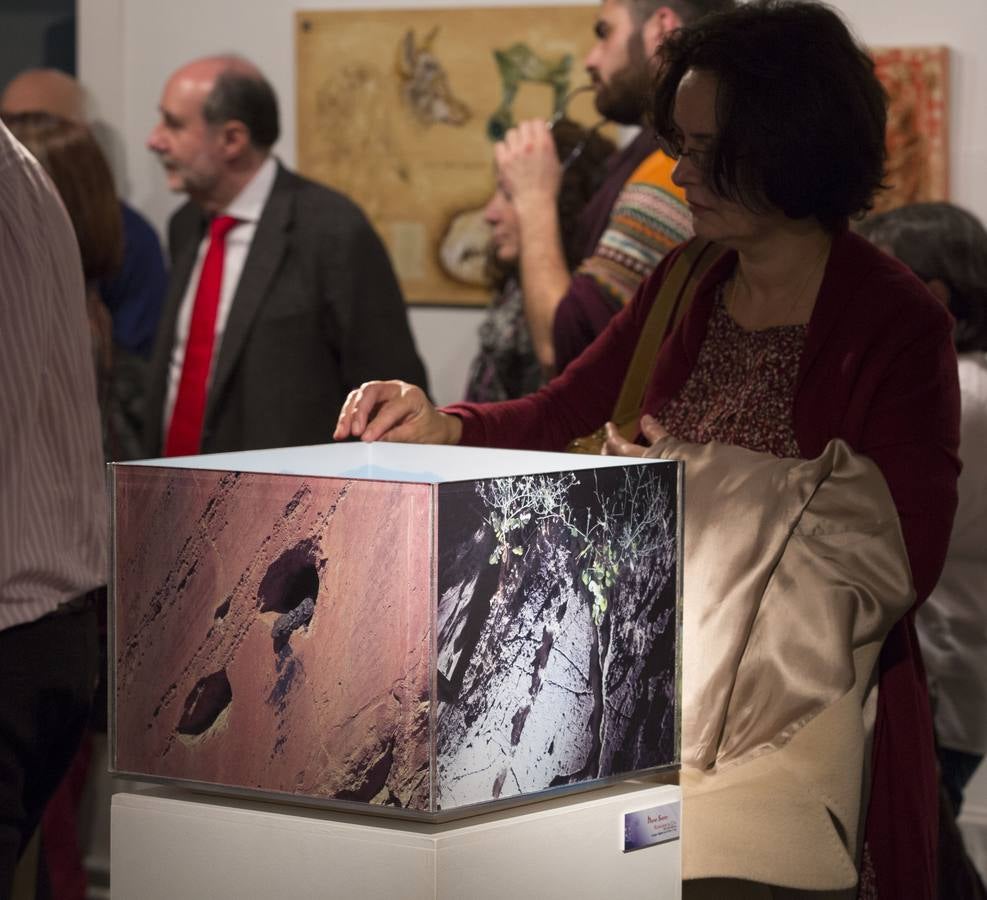 La Casa Revilla de Valladolid acoge la exposición &#039;El bestiario vacceo. VacceArte&#039;