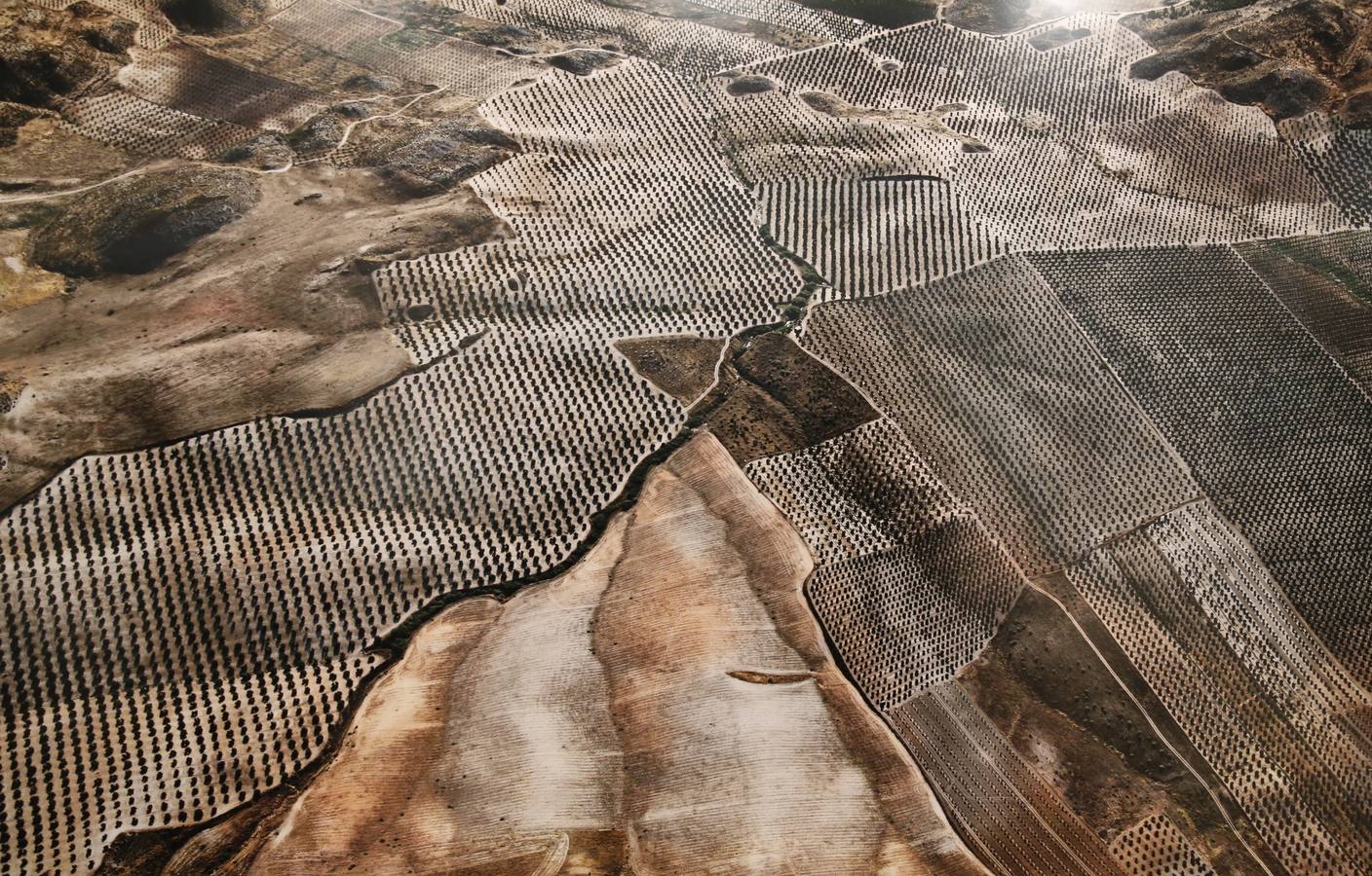 Inauguración de la exposición &#039;Edward Burtynsky. Agua shock&#039; en Valladolid