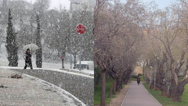 Valladolid. El año pasado, la nieve caída a primera hora de la mañana en Parquesol. Este año, los almendros ya empiezan a florecer.