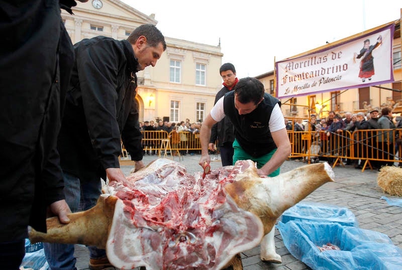 La matanza del cerdo protagoniza la fiesta de las Candelas en Palencia