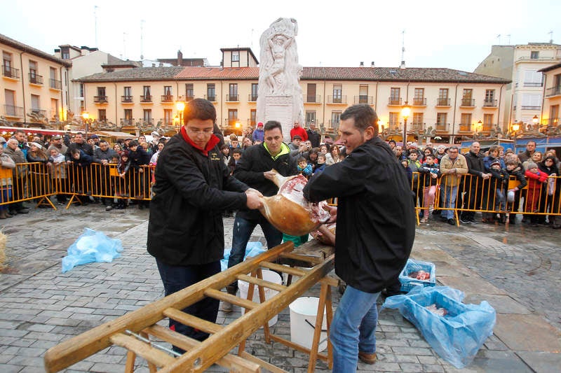 La matanza del cerdo protagoniza la fiesta de las Candelas en Palencia