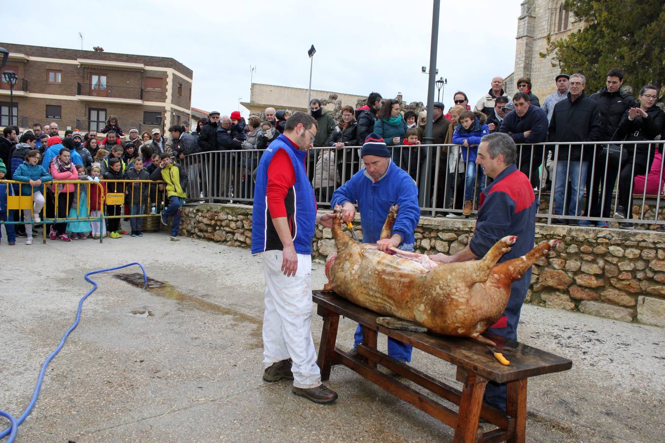 Fiesta de la matanza en Villamuriel (Palencia)