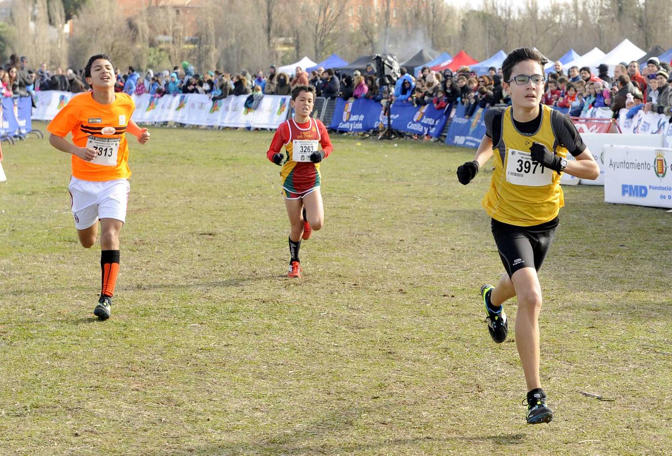 XXVIII Cros Internacional Ciudad de Valladolid (2/2)