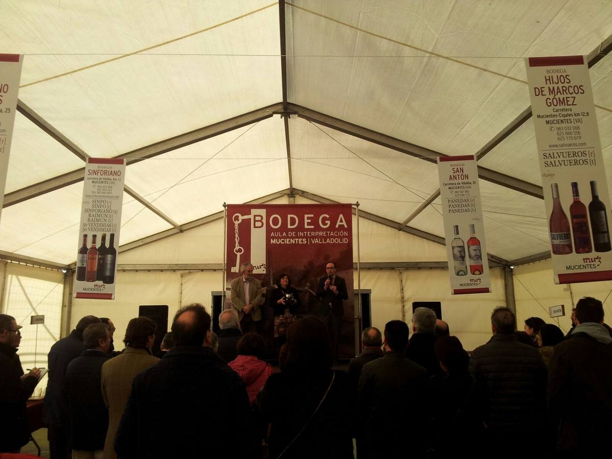 Fiesta del Primer Vino en Mucientes