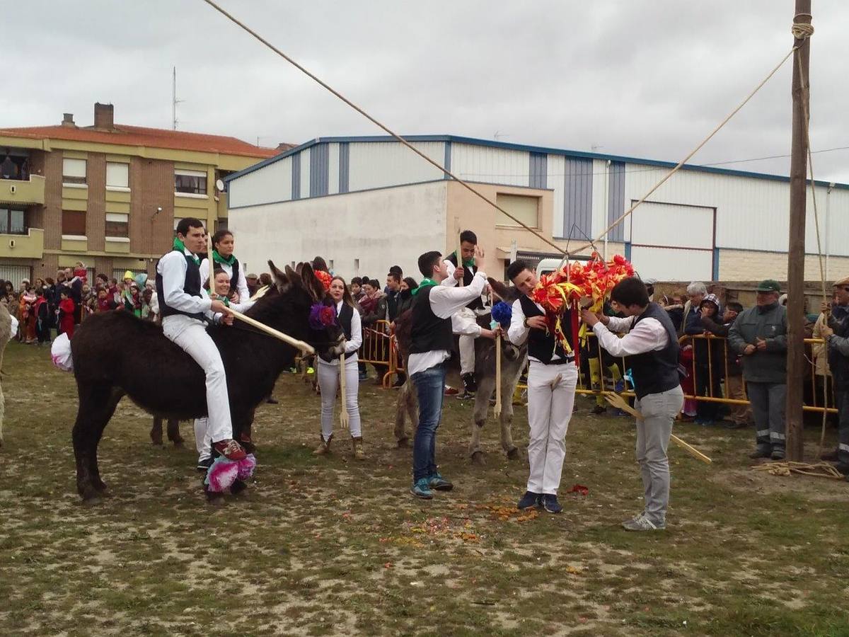 Carrera de cintas de los quintos de Pedrajas de San Esteban