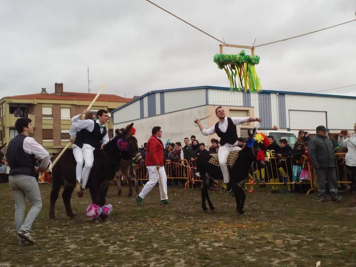 Carrera de cintas de los quintos de Pedrajas de San Esteban