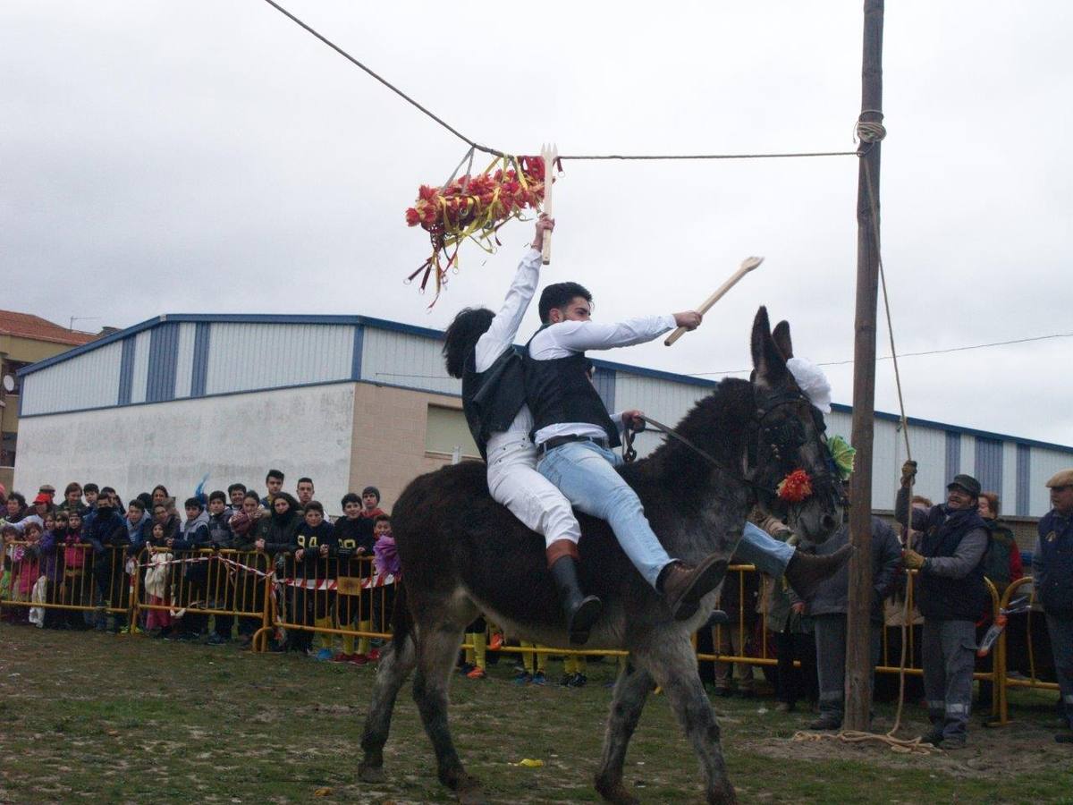 Carrera de cintas de los quintos de Pedrajas de San Esteban