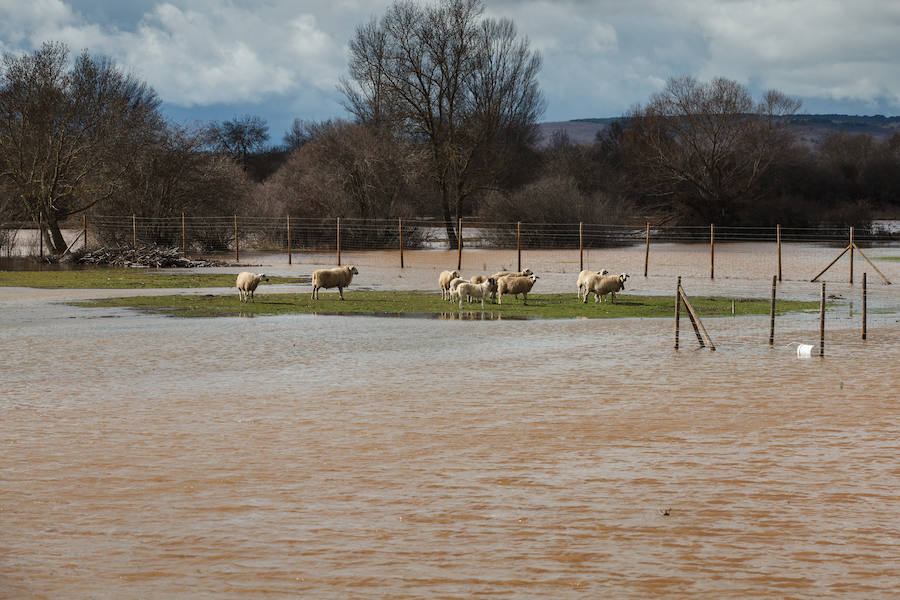 Inundaciones en la provincia de Soria.