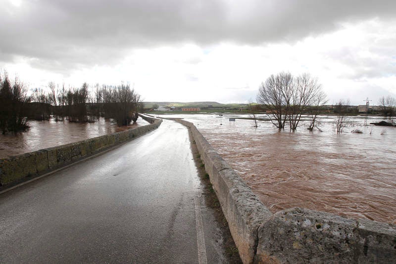 Desbordamiento del río Arlanza a su paso por Palenzuela (Palencia)