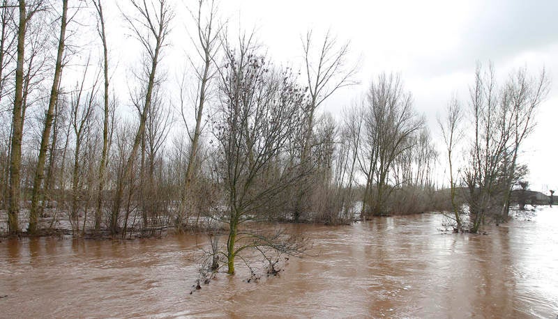 Desbordamiento del río Arlanza a su paso por Palenzuela (Palencia)