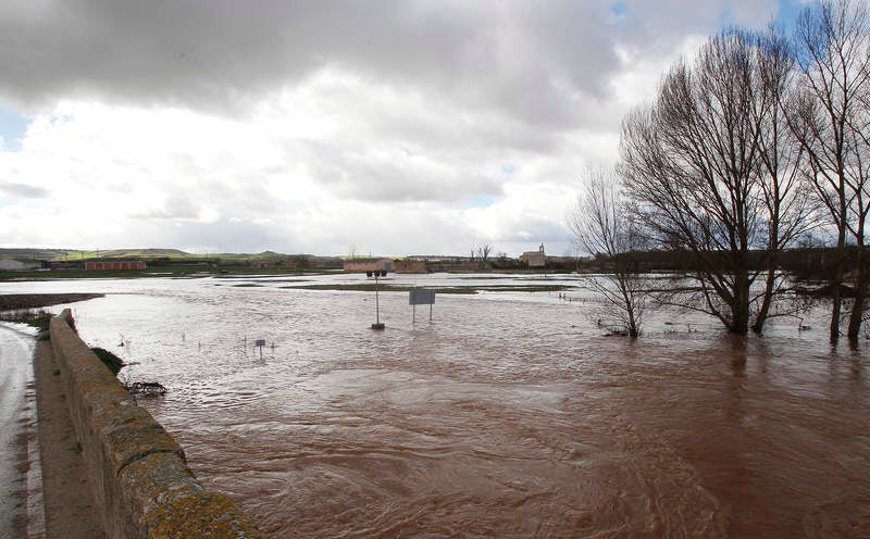 Desbordamiento del río Arlanza a su paso por Palenzuela (Palencia)