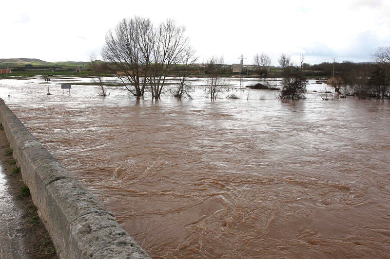 Desbordamiento del río Arlanza a su paso por Palenzuela (Palencia)