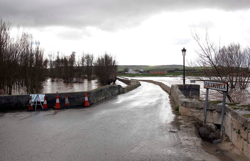 Desbordamiento del río Arlanza a su paso por Palenzuela (Palencia)