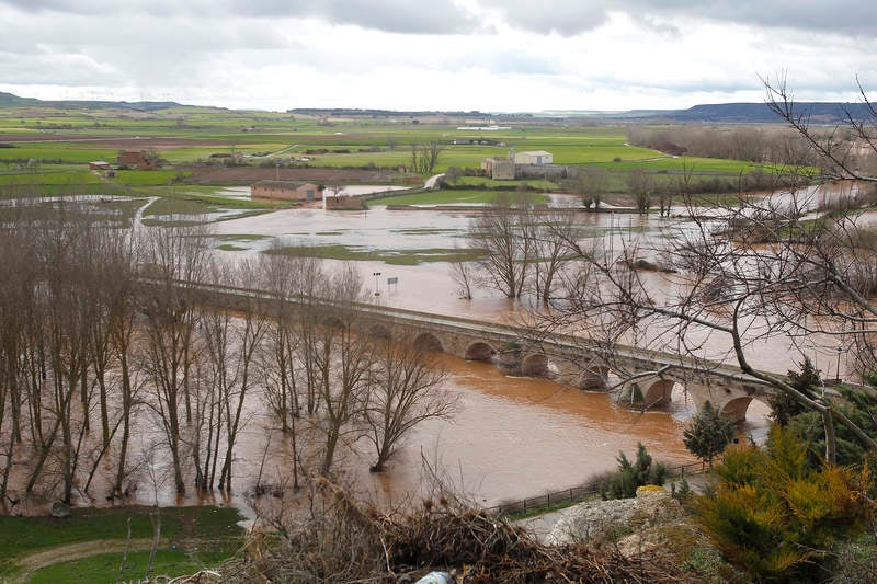 Desbordamiento del río Arlanza a su paso por Palenzuela (Palencia)