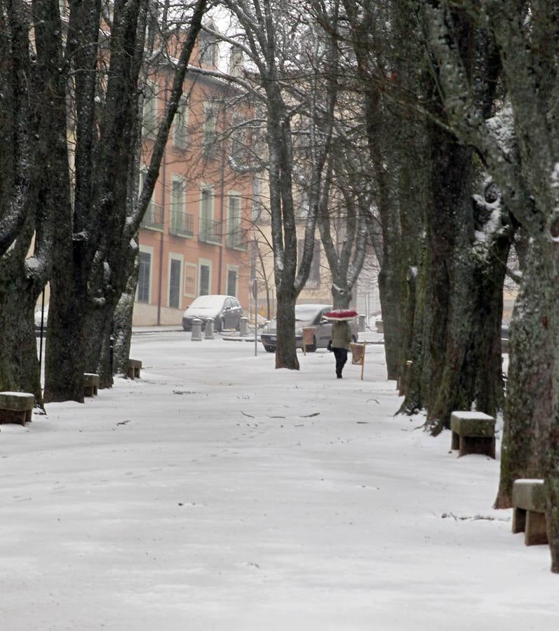 Nieve en La Granja y Valsaín (Segovia)