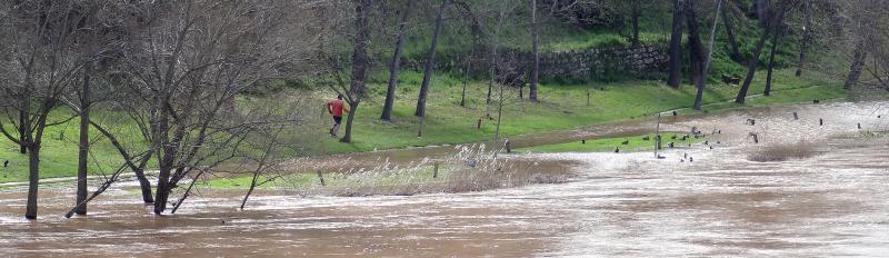 Río Pisuerga en Valladolid capital.