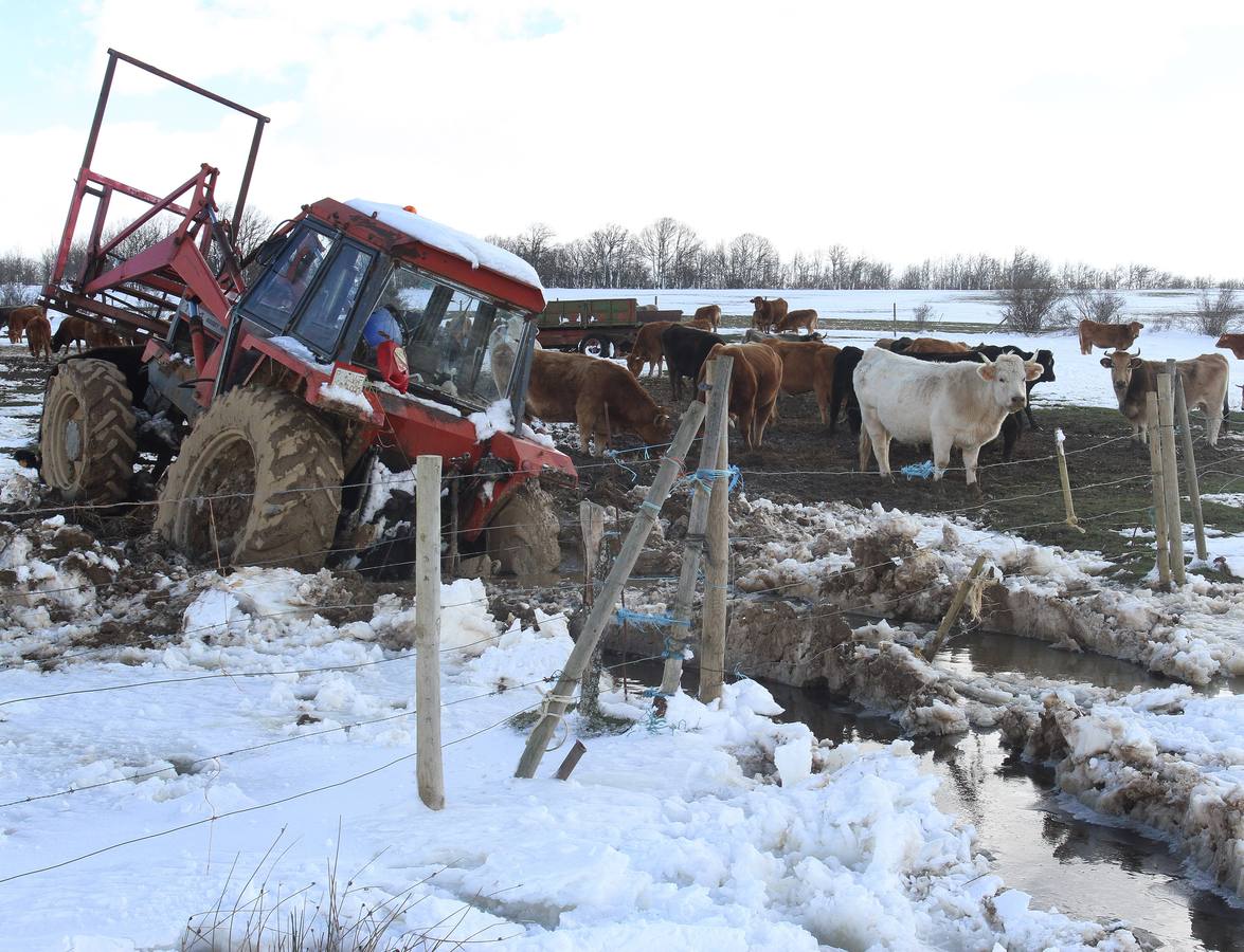 Un tractor atascado en el barro y en la nieve cerca de Cantoral de la Peña.