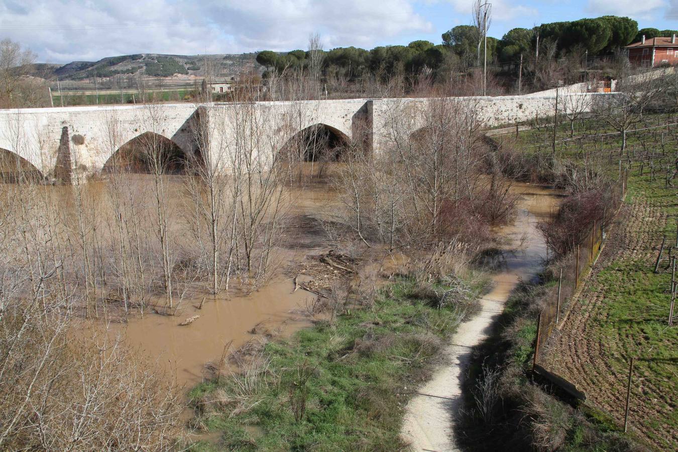 Peñafiel.