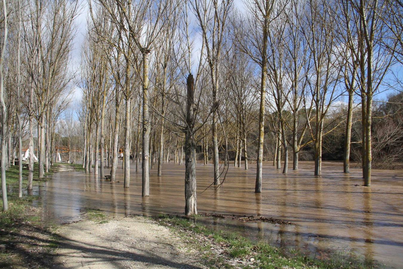 Pesquera de Duero.