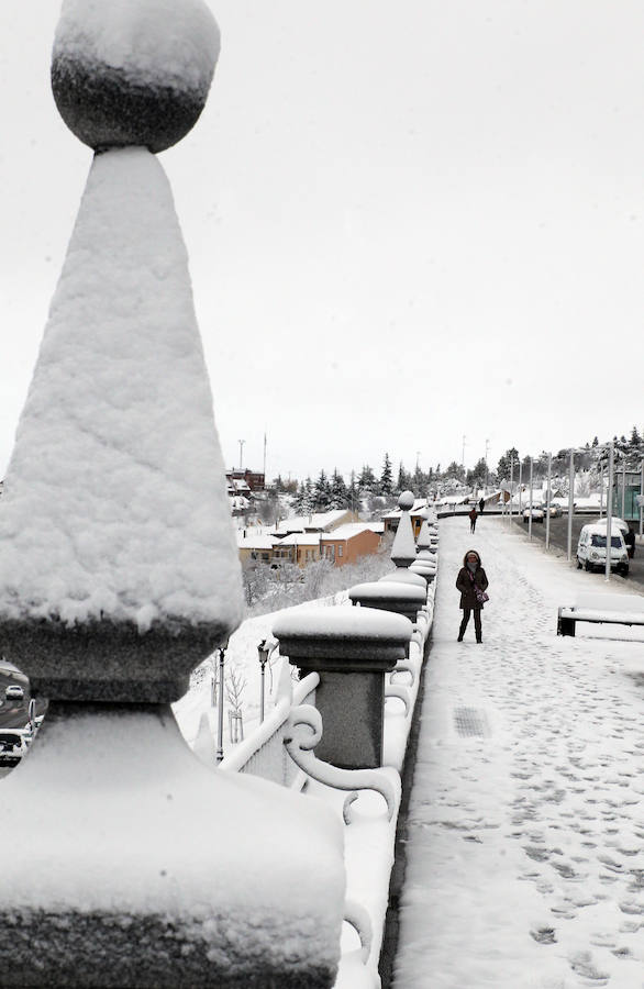 Segovia cubierta por la nieve (1/2)