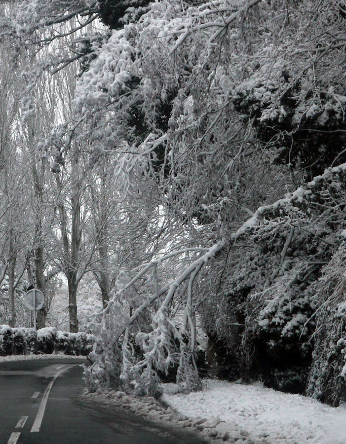 Segovia cubierta por la nieve (2/2)