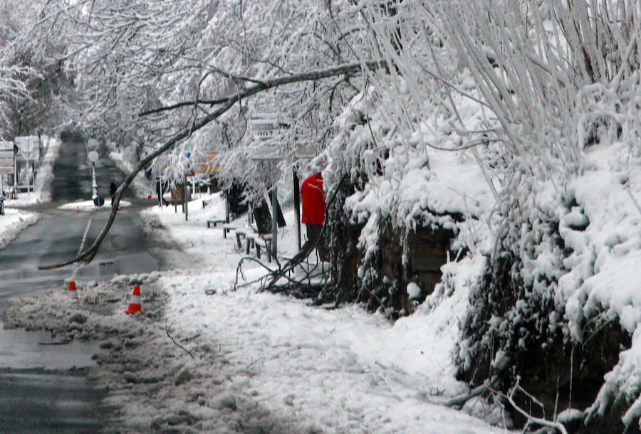 Segovia cubierta por la nieve (2/2)