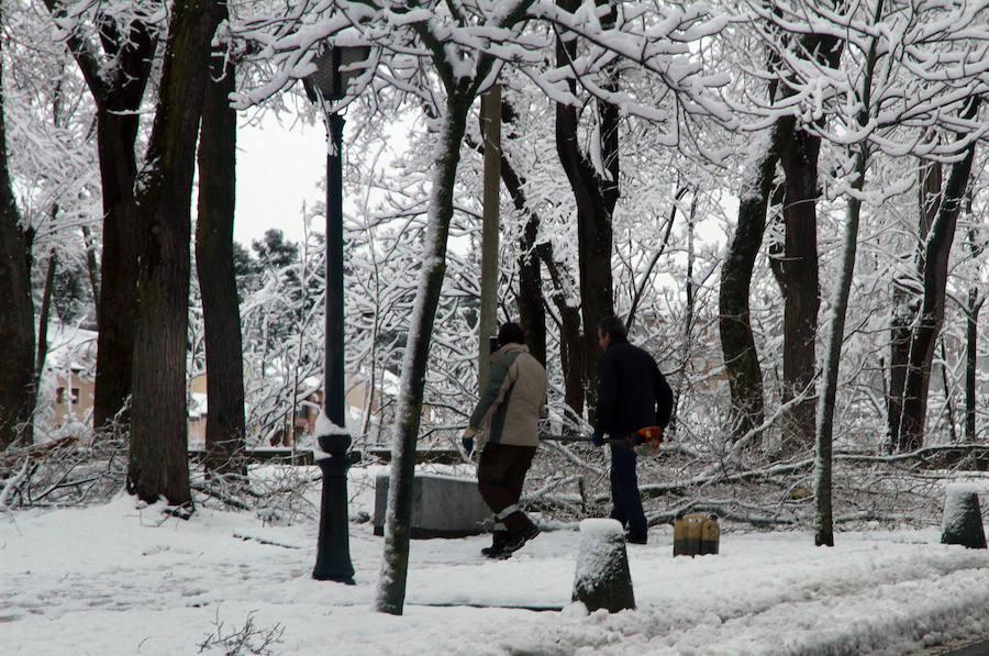 Segovia cubierta por la nieve (2/2)