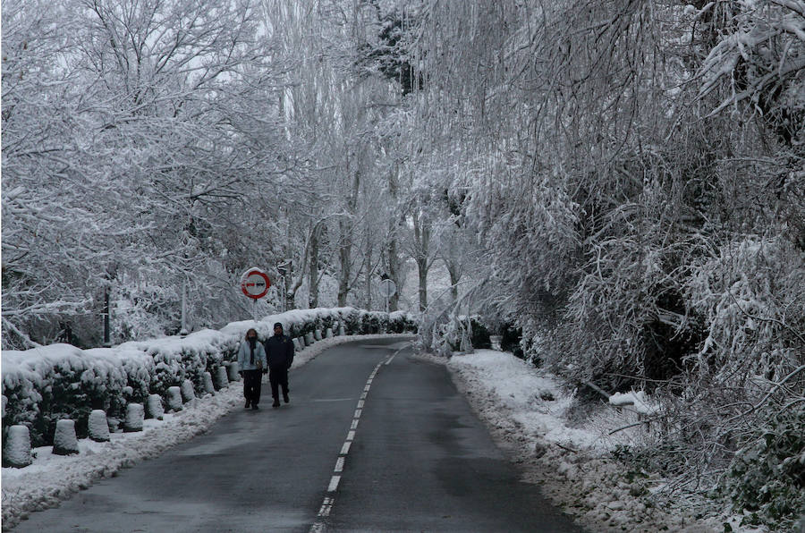 Segovia cubierta por la nieve (2/2)