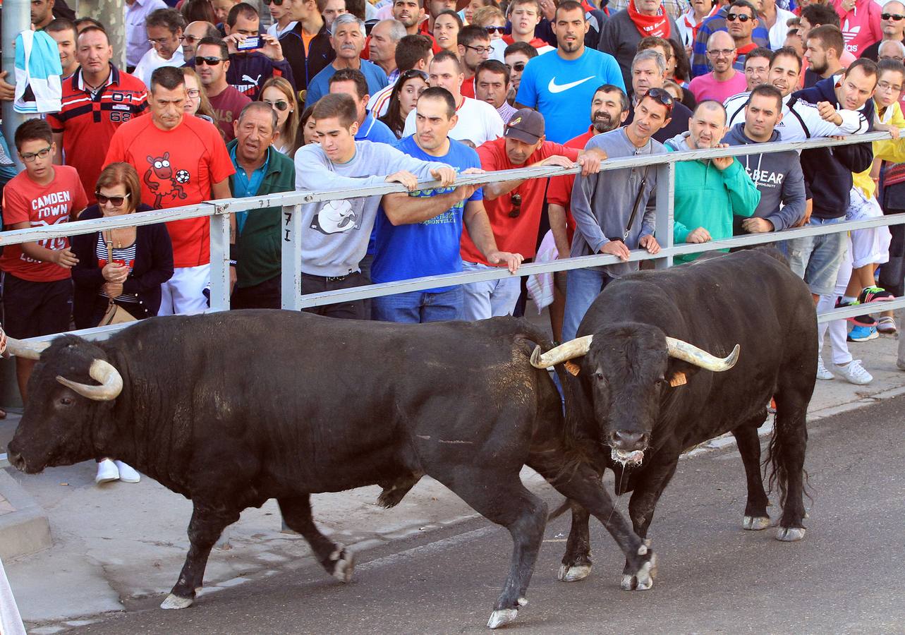 Visita virtual a la exposición &#039;Un año en imágenes 2015&#039; de Segovia (1/2)