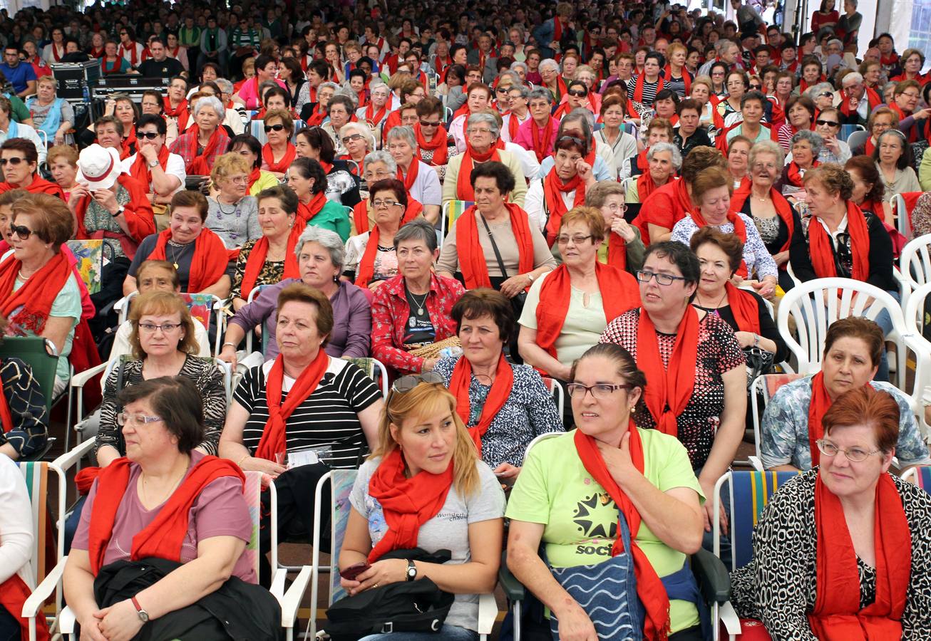 Visita virtual a la exposición &#039;Un año en imágenes 2015&#039; de Segovia (1/2)