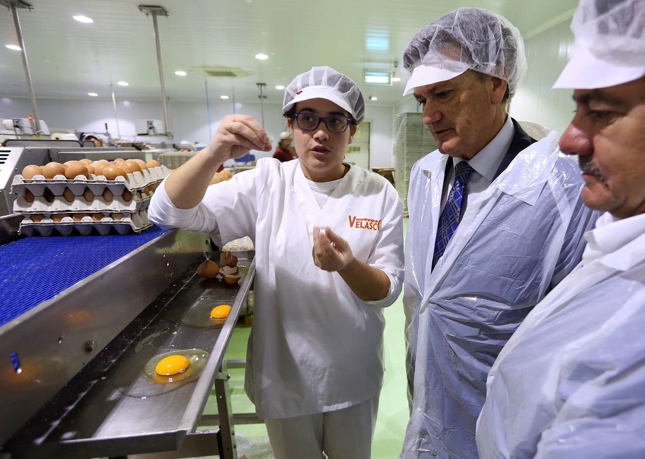 Visita virtual a la exposición &#039;Un año en imágenes 2015&#039; de Segovia (2/2)