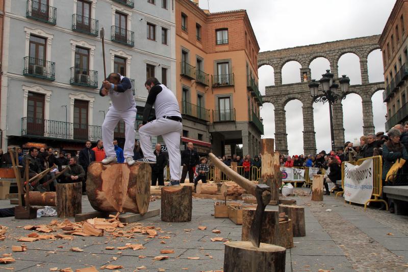Fiesta de los gabarreros en Segovia