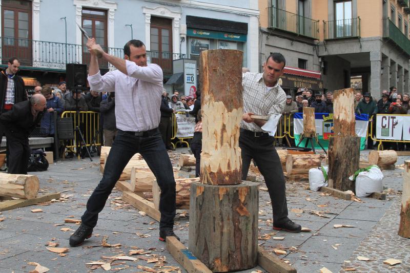 Fiesta de los gabarreros en Segovia