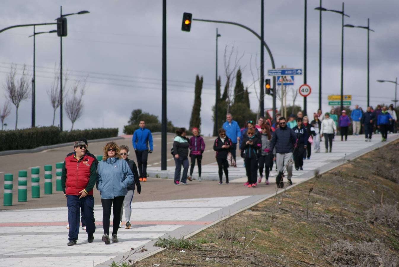 V Marcha Contra el Cáncer de Arroyo de la Encomienda (1/3)