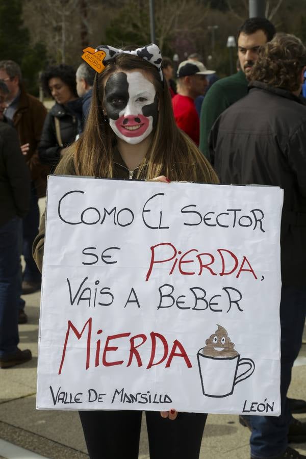 Protesta de ganaderos a las puertas de las Cortes de Castilla y León por la crisis del sector lácteo