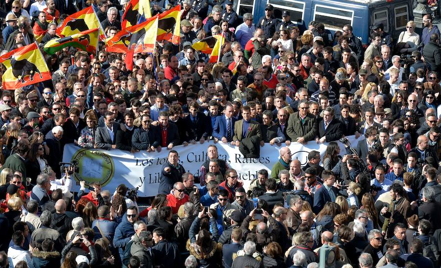 La manifestación pro taurina, en imágenes